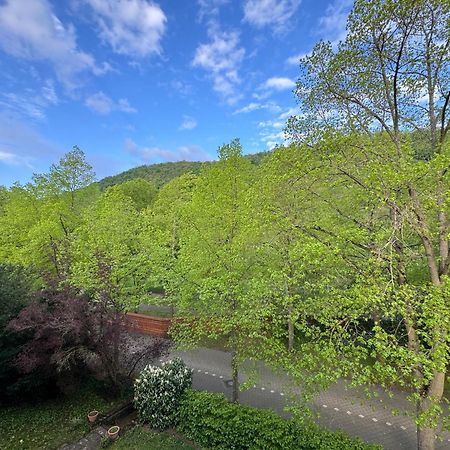 Apartment Villa Elisa Bad Kreuznach Buitenkant foto