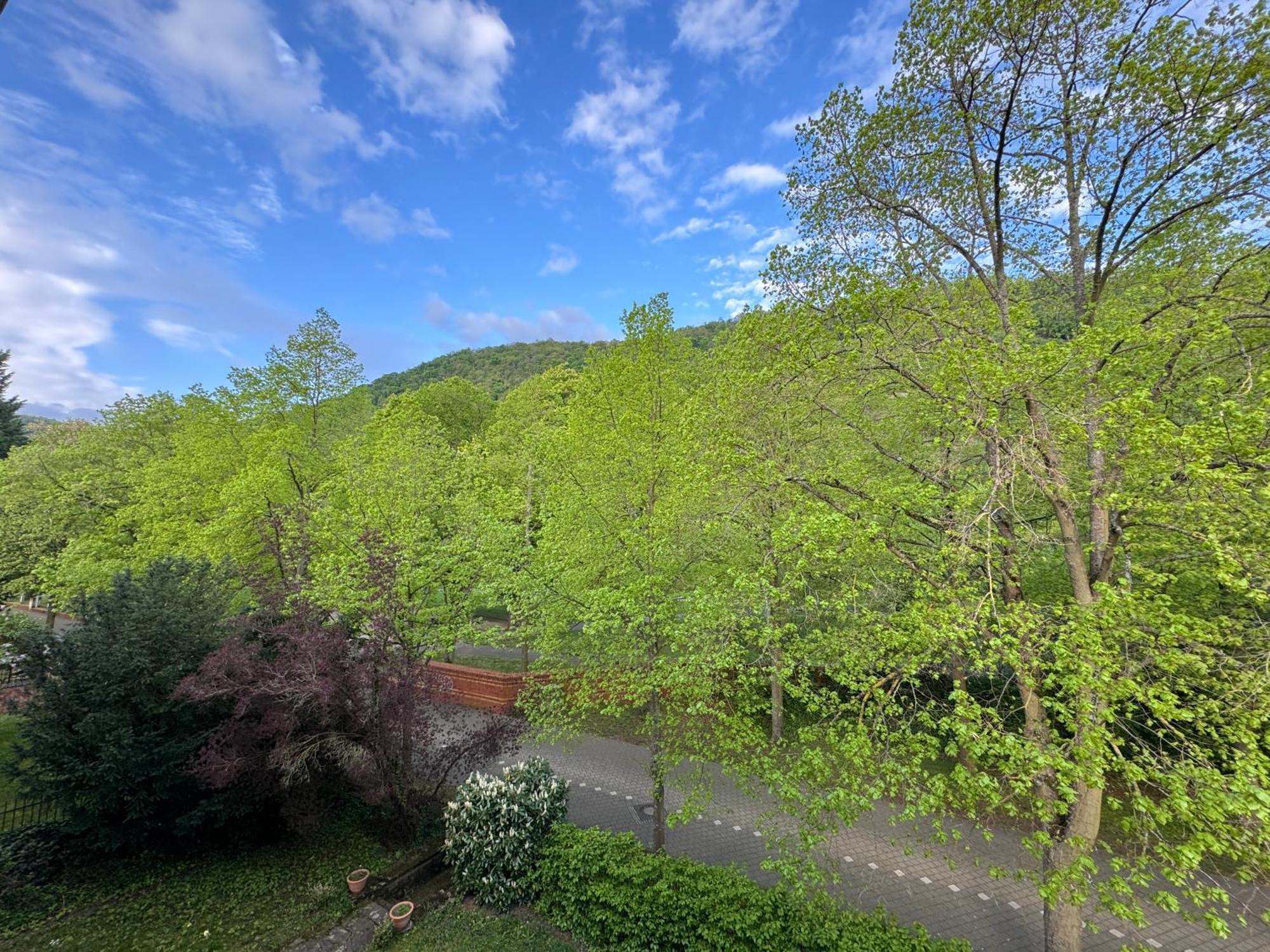 Apartment Villa Elisa Bad Kreuznach Buitenkant foto