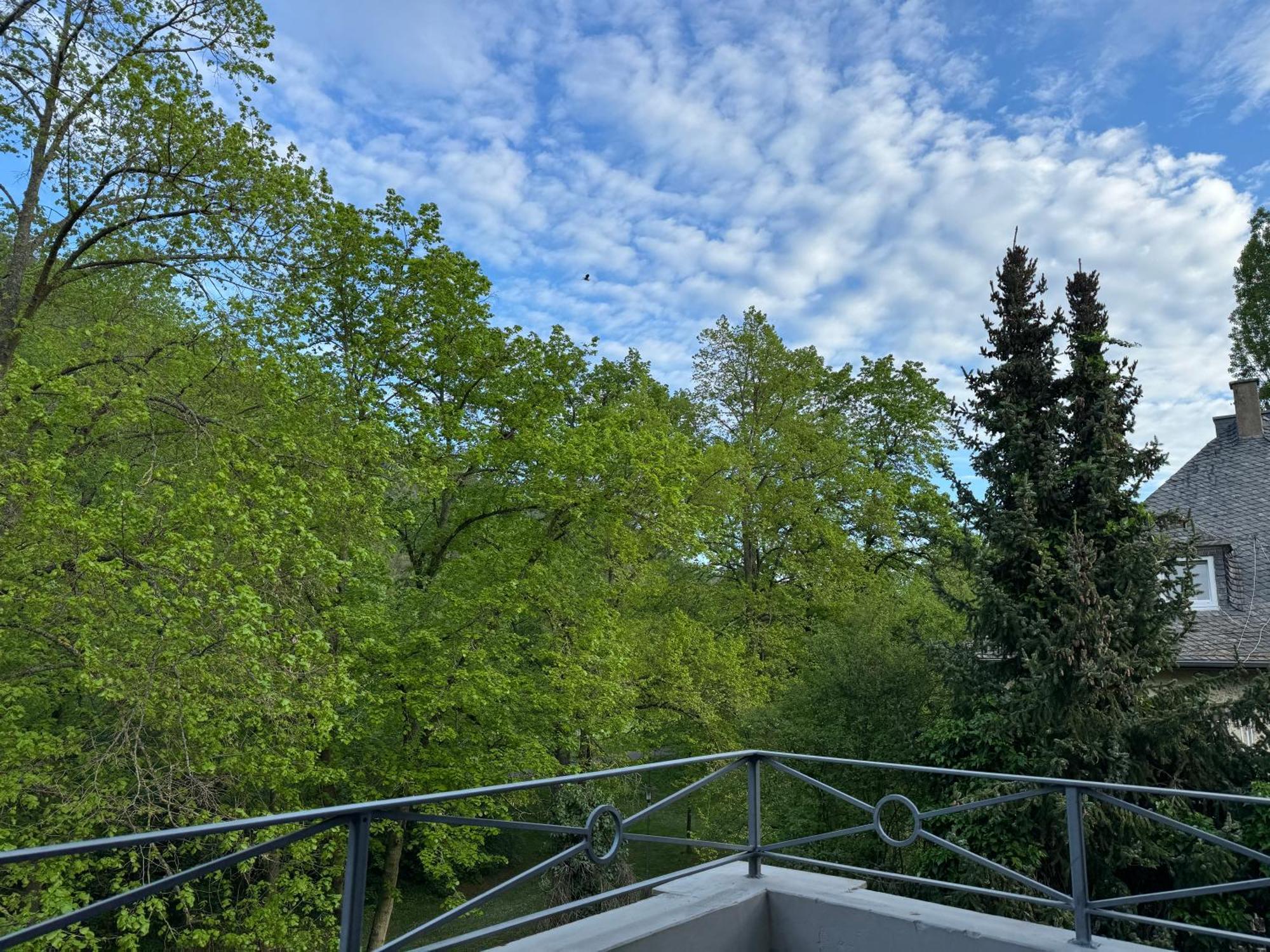 Apartment Villa Elisa Bad Kreuznach Buitenkant foto